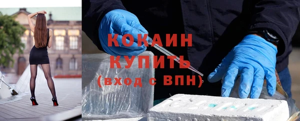 крисы Бугульма