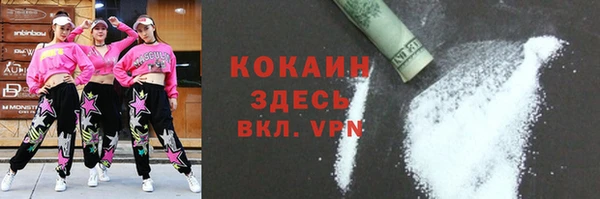 молекула духа Бородино