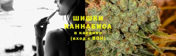 крисы Бугульма
