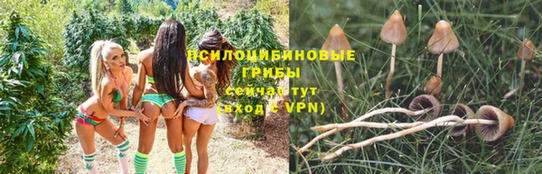 не бодяженный Бронницы