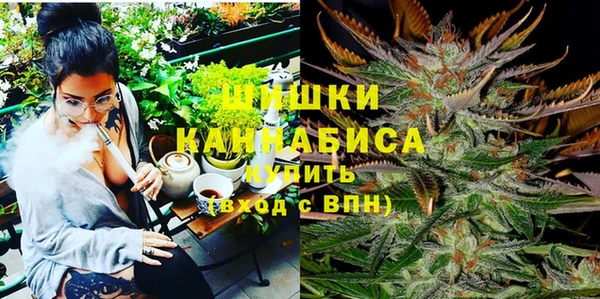 молекула духа Бородино