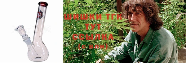 крисы Бугульма