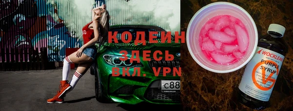 молекула духа Бородино